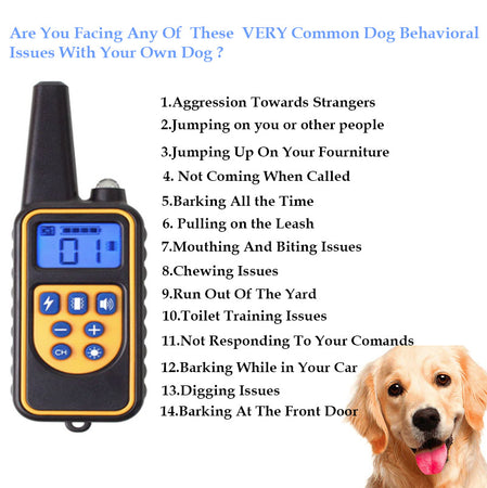 Zorados 800m Waterproof Pet Dog Training Collar Rechargeable