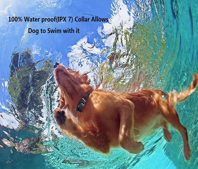 Zorados 800m Waterproof Pet Dog Training Collar Rechargeable