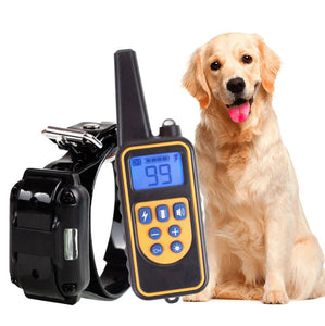 Zorados 800m Waterproof Pet Dog Training Collar Rechargeable