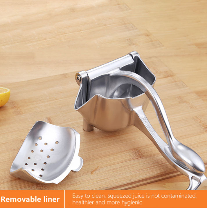 Stainless Steel Fruit Juicer