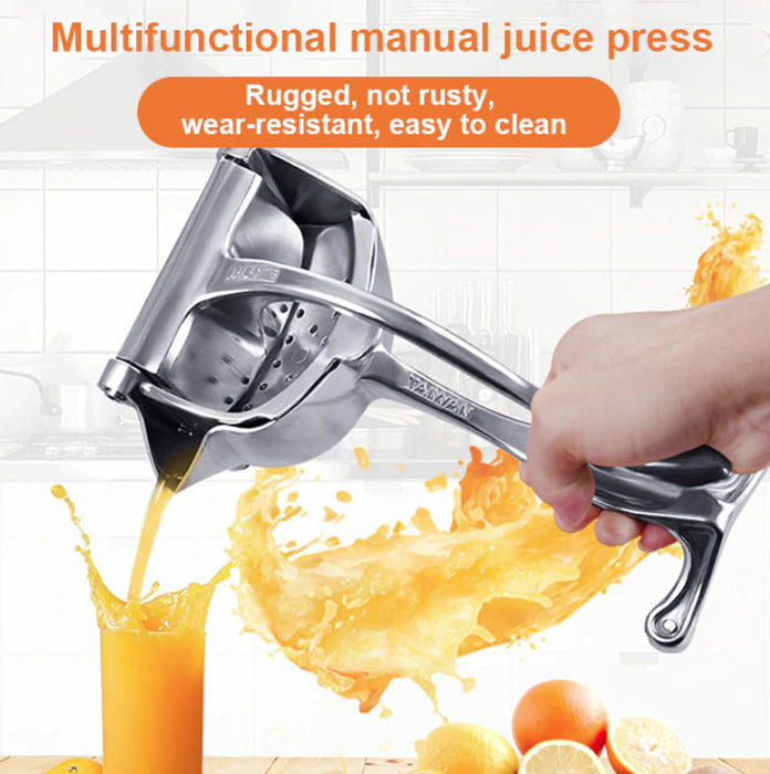 Stainless Steel Fruit Juicer